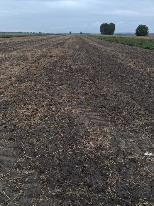 Teren jumate intravilan, jumatate extravilan