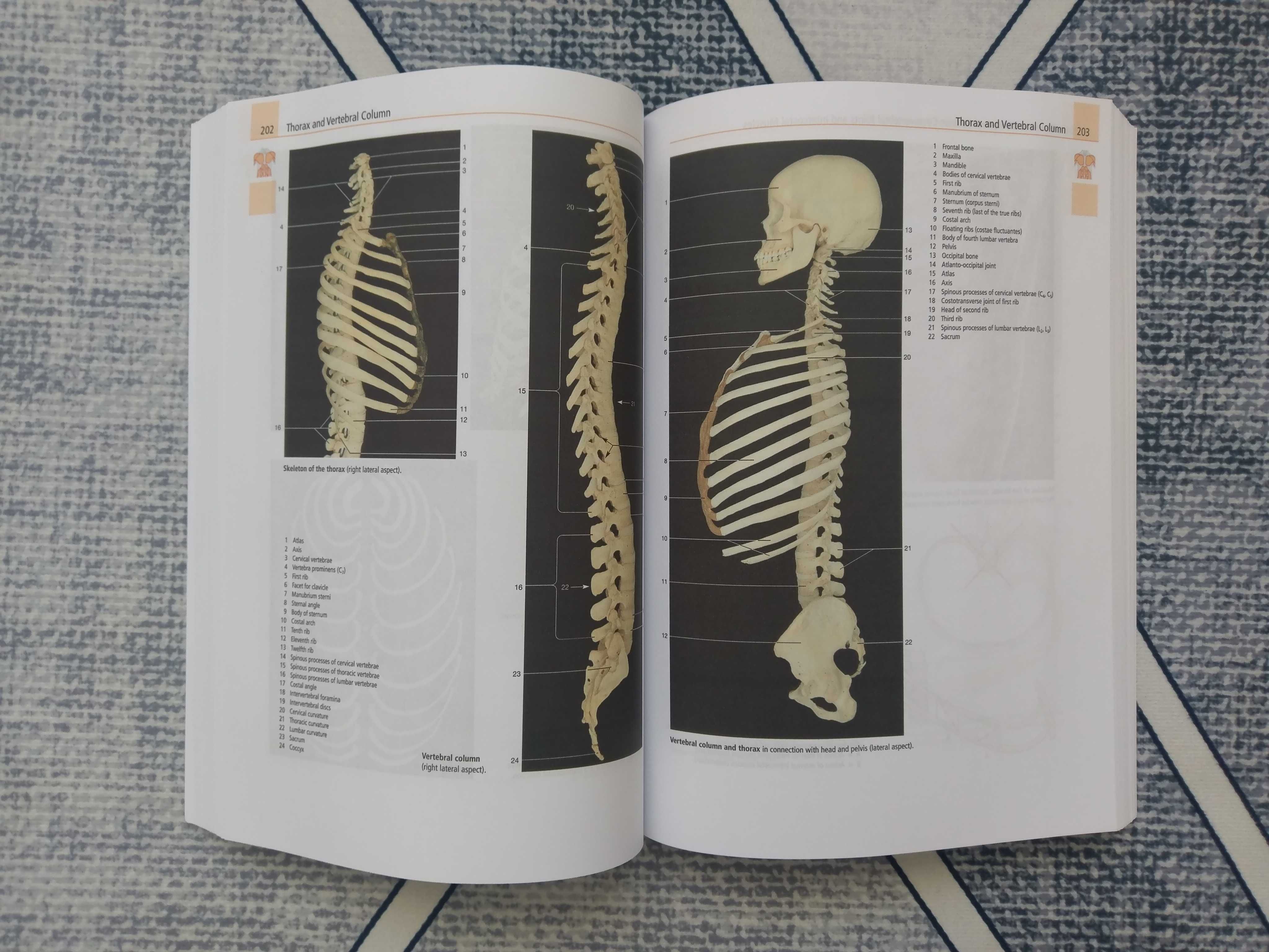 Anatomy: A Photographic Atlas - Rohen, Chichiro ed. 8 - atlas disectie