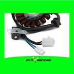 Stator Alternator Aprilia RXV450 SXV550 MXV450 2006-2011 A787
