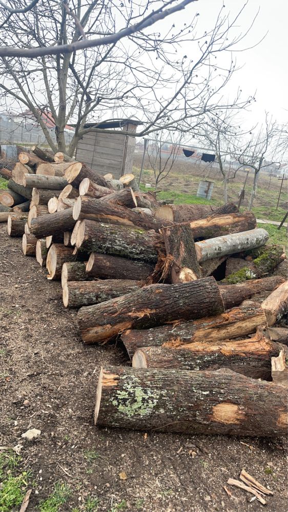 ‼️Lemne de foc de cea mai bună calitate la cele mai mici prețurii