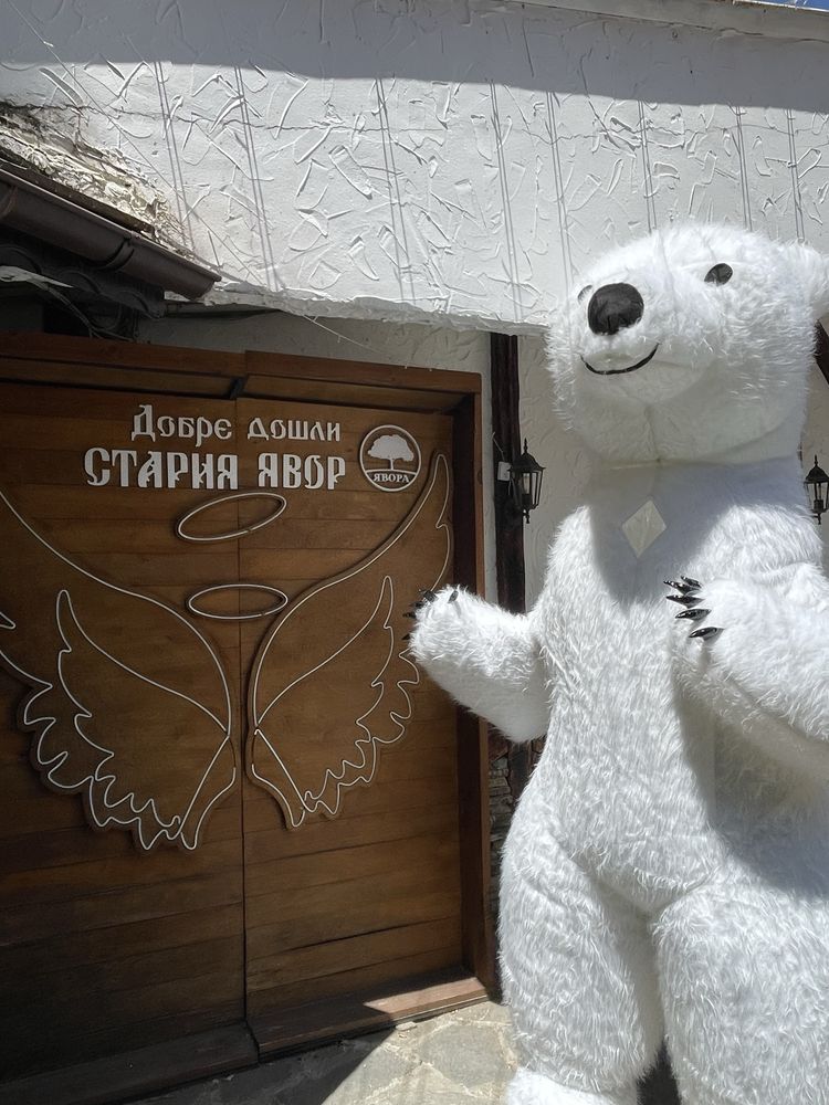 Костюм бяло мечка
