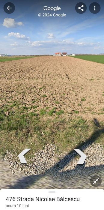 Terenuri de vanzare in Nojorid