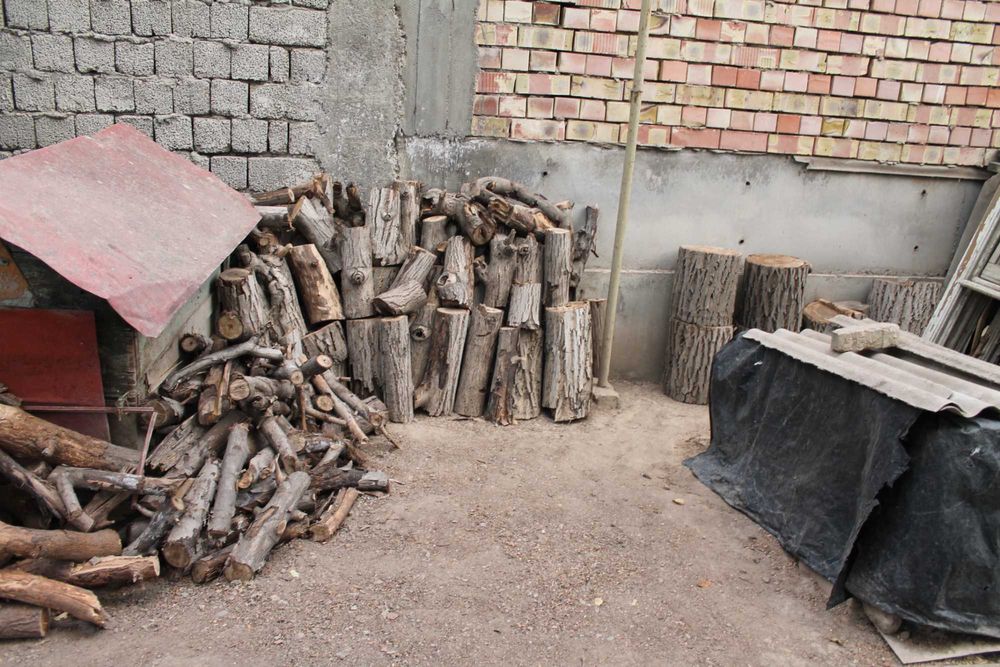 енгок ва тут дарахтларни кесилган танаси ва калин шохлари