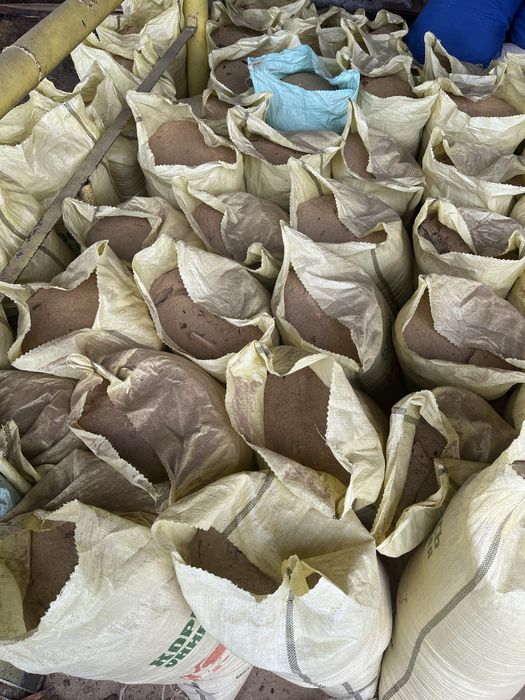 Продам опилки.