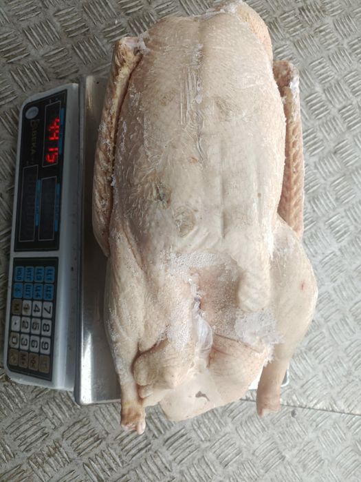 Продам мясо гусей , уток , бройлеров