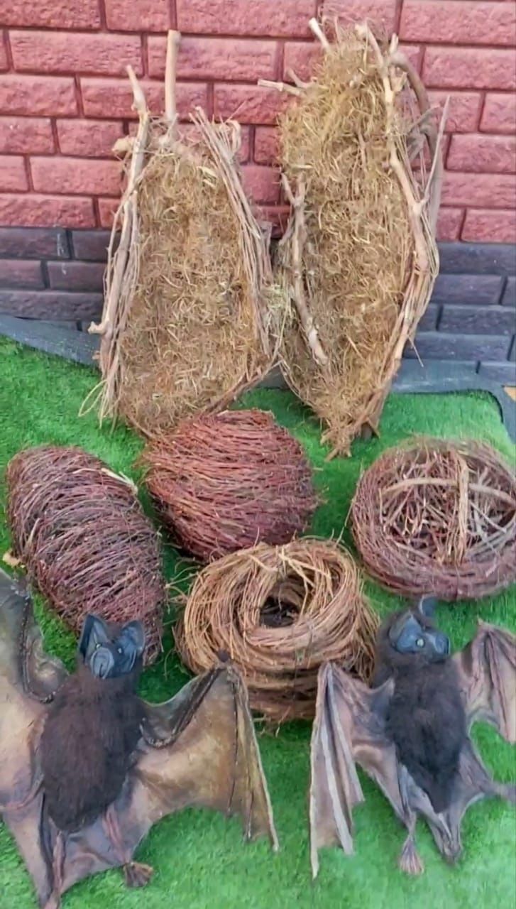 Продам летучих мышей.