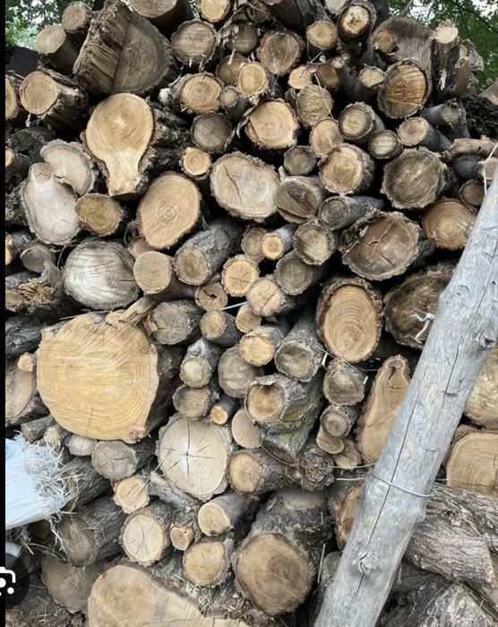 Дрова в мешках алматы