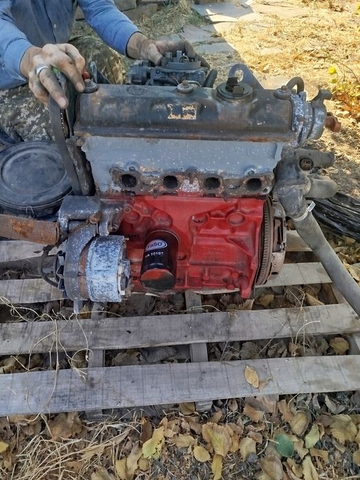 Продаётся Абу Матор