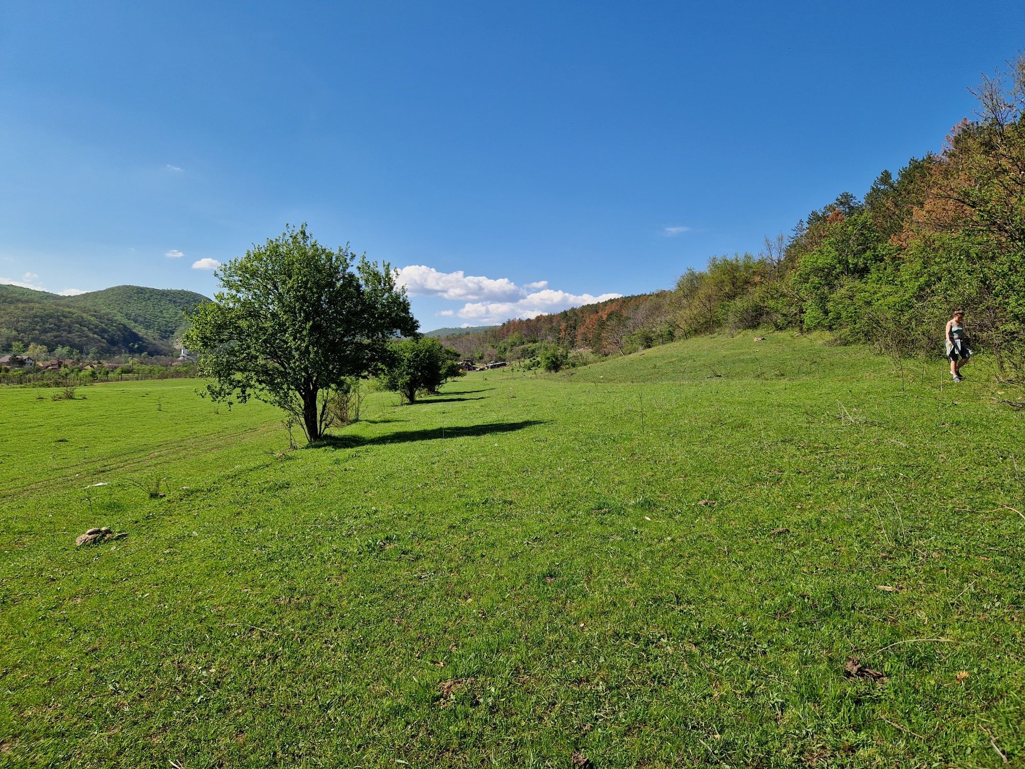 Teren de vanzare. 5000mp