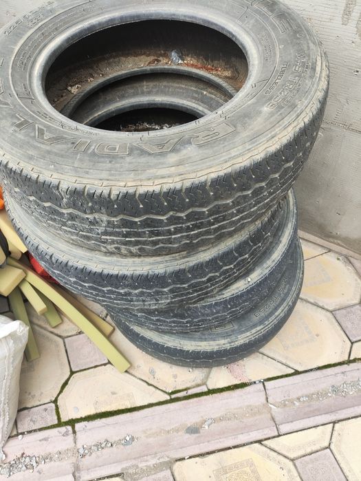 Шины на 16 фирмы трианжл