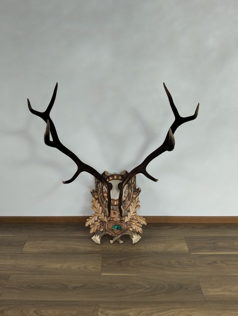 Coarne de cerb cu panoplie sculptata
