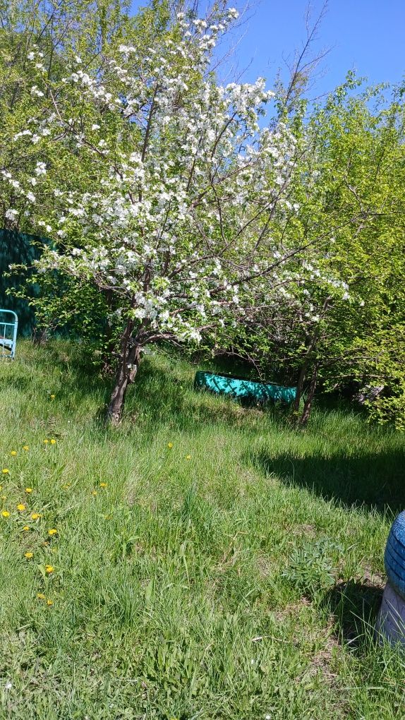 Дача на мирном продам