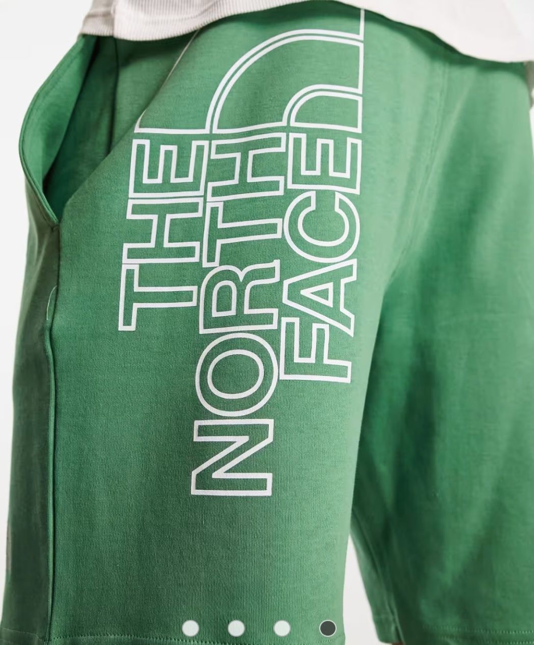 Мъжки спортни панталони The north face
