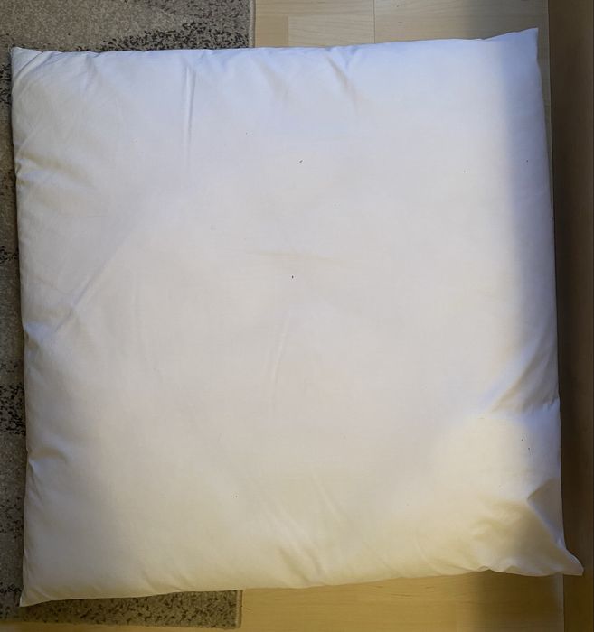 Perna alba 65x65