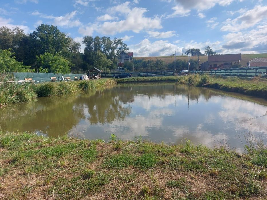 Teren intravilan cu balta