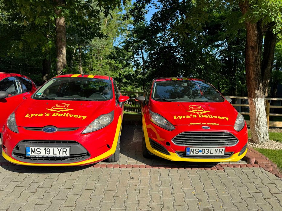 Flotă Auto Livrare de Vânzare – Ford Fiesta