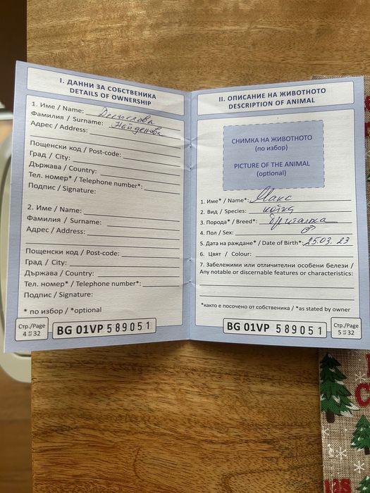 Британска клепоуха котка