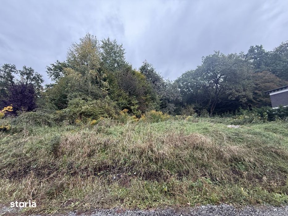 Teren intravilan 1000 mp in Faget – Strada Antonin Ciolan, langa pad
