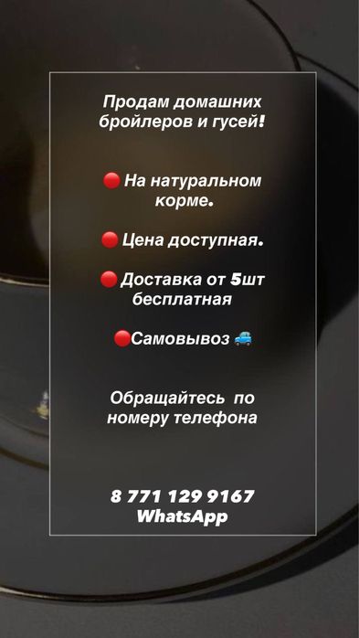 Продам бройлеров и гусей домашних