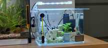 Vind Mini Acvariu Complect Echipat Filtru,Incalzitor,Lampa led,