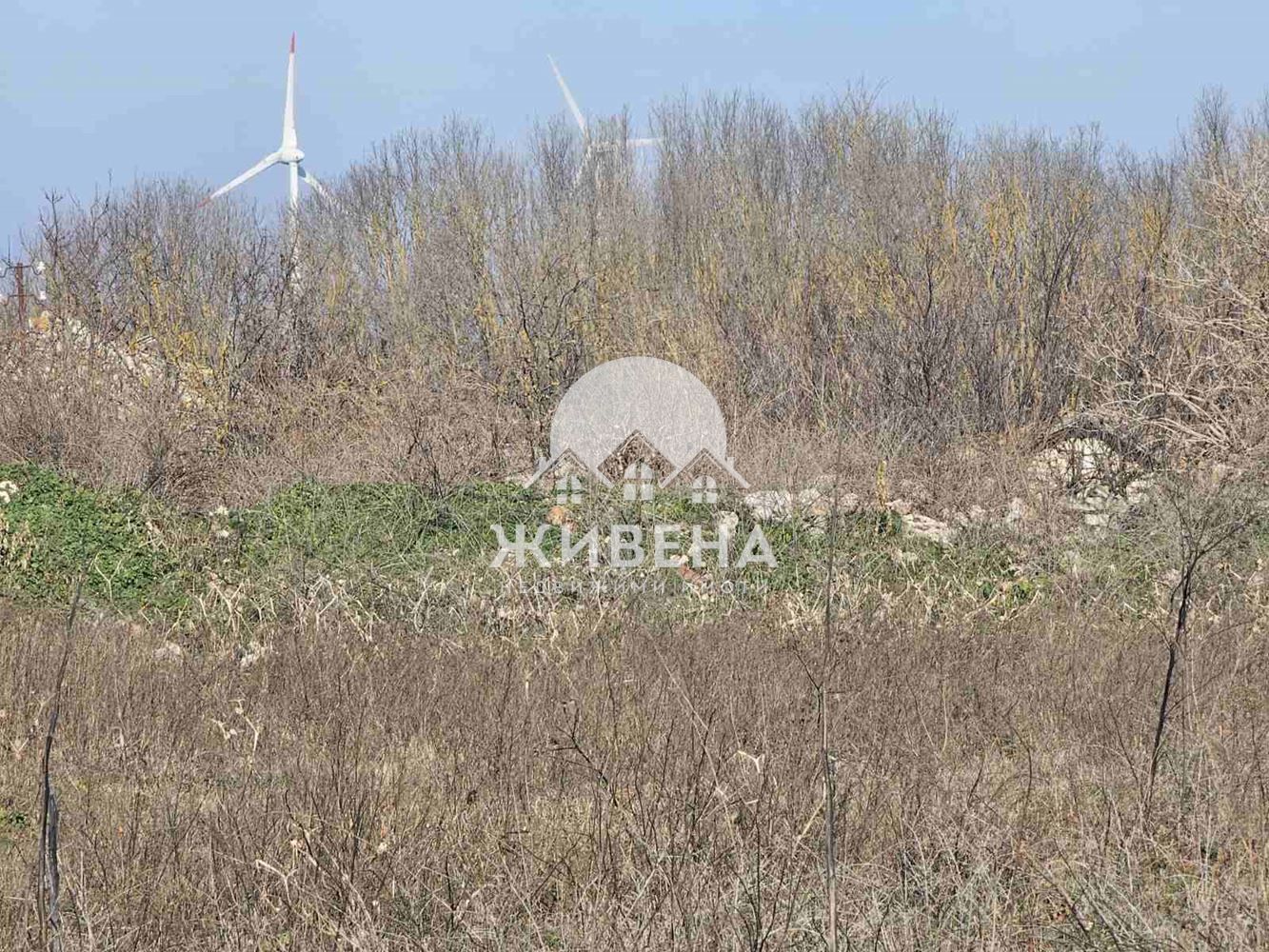 Парцел в с.Божурец, обл. Добрич, площ 3498 кв.м