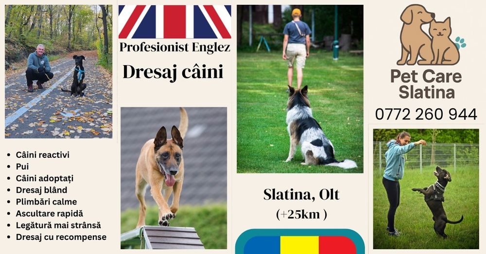 Dresaj Canin de toate varstele - Slatina, Olt