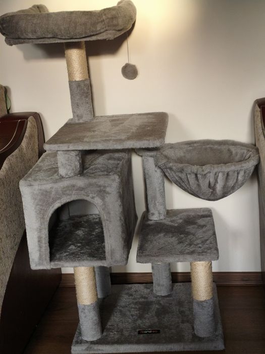 Ansamblu joaca pisici