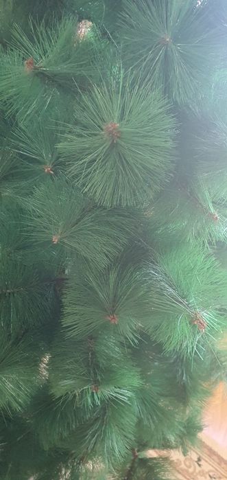 Ёлка продаётся 1.80