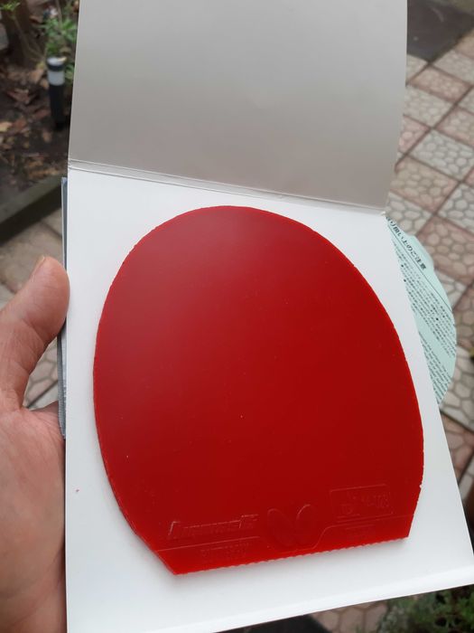 Butterfly Dignics 05