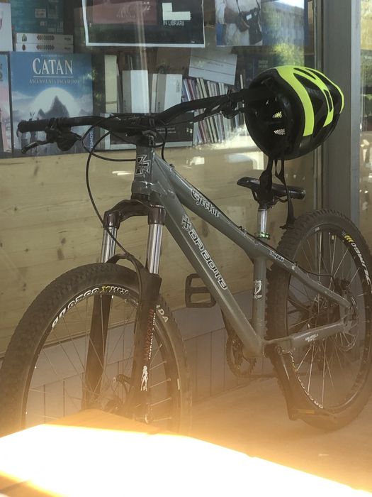Dirt jumper custom
