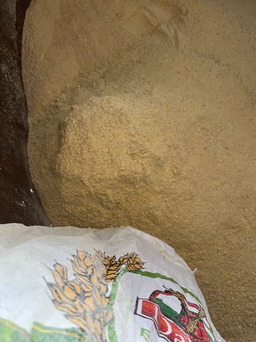 Майдаланған жүгері