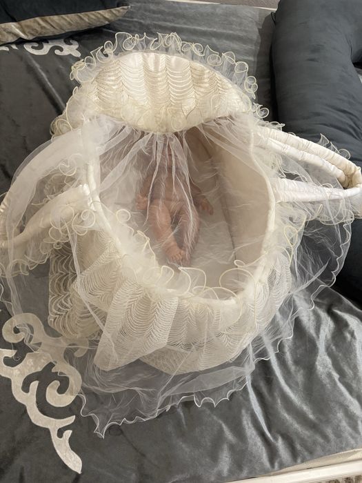 Люлька на выписку в аренду