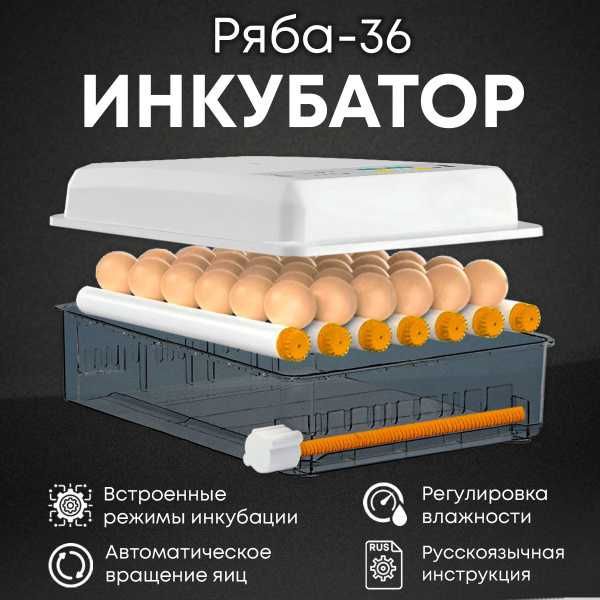 полностью Автоматический Инкубатор