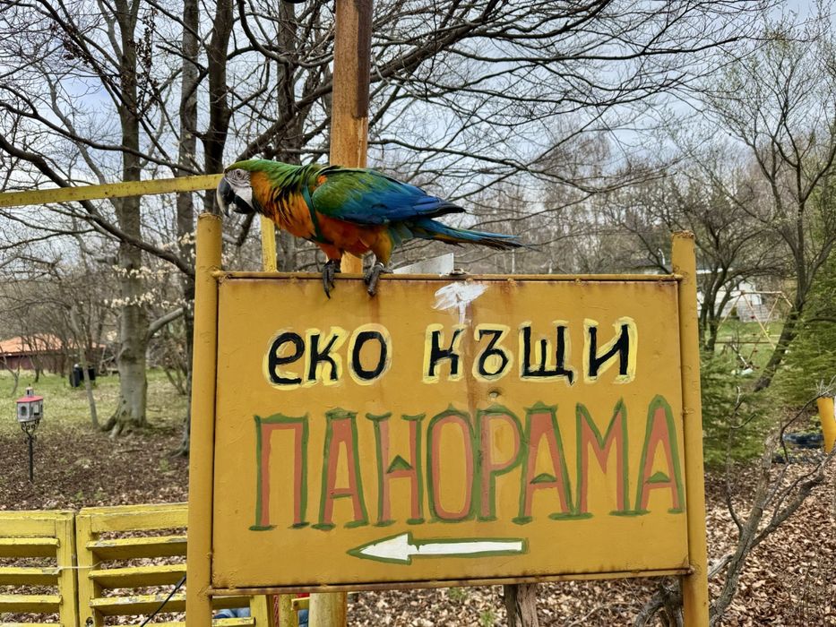 Еко къщи Панорама