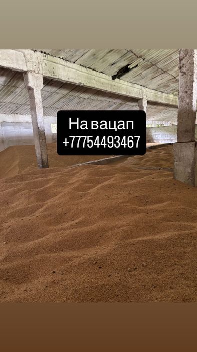 Пшеница отруби кукуруза