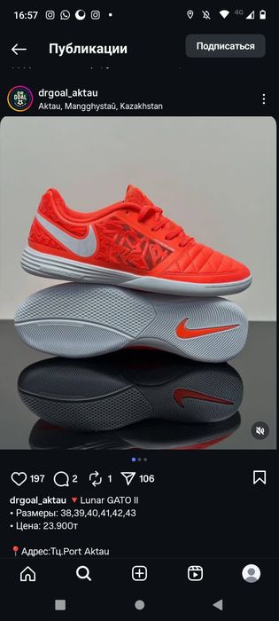 Зальник lunar gato