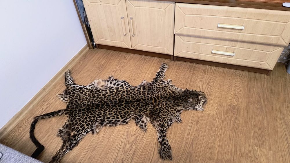 Blana leopard naturala