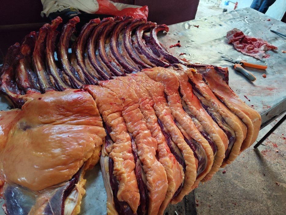 Согым ет жылкы ет