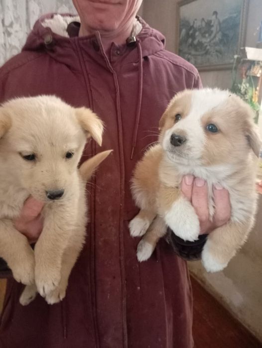 В самые добрые ручки