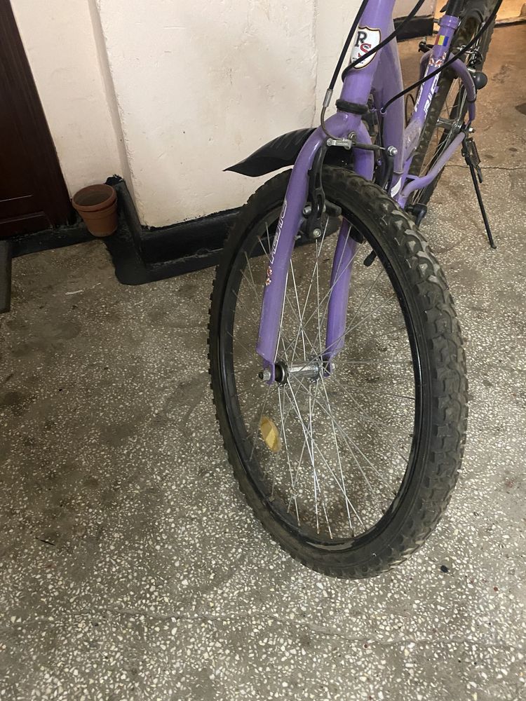 Bicicleta Carpat Rich pentru copii