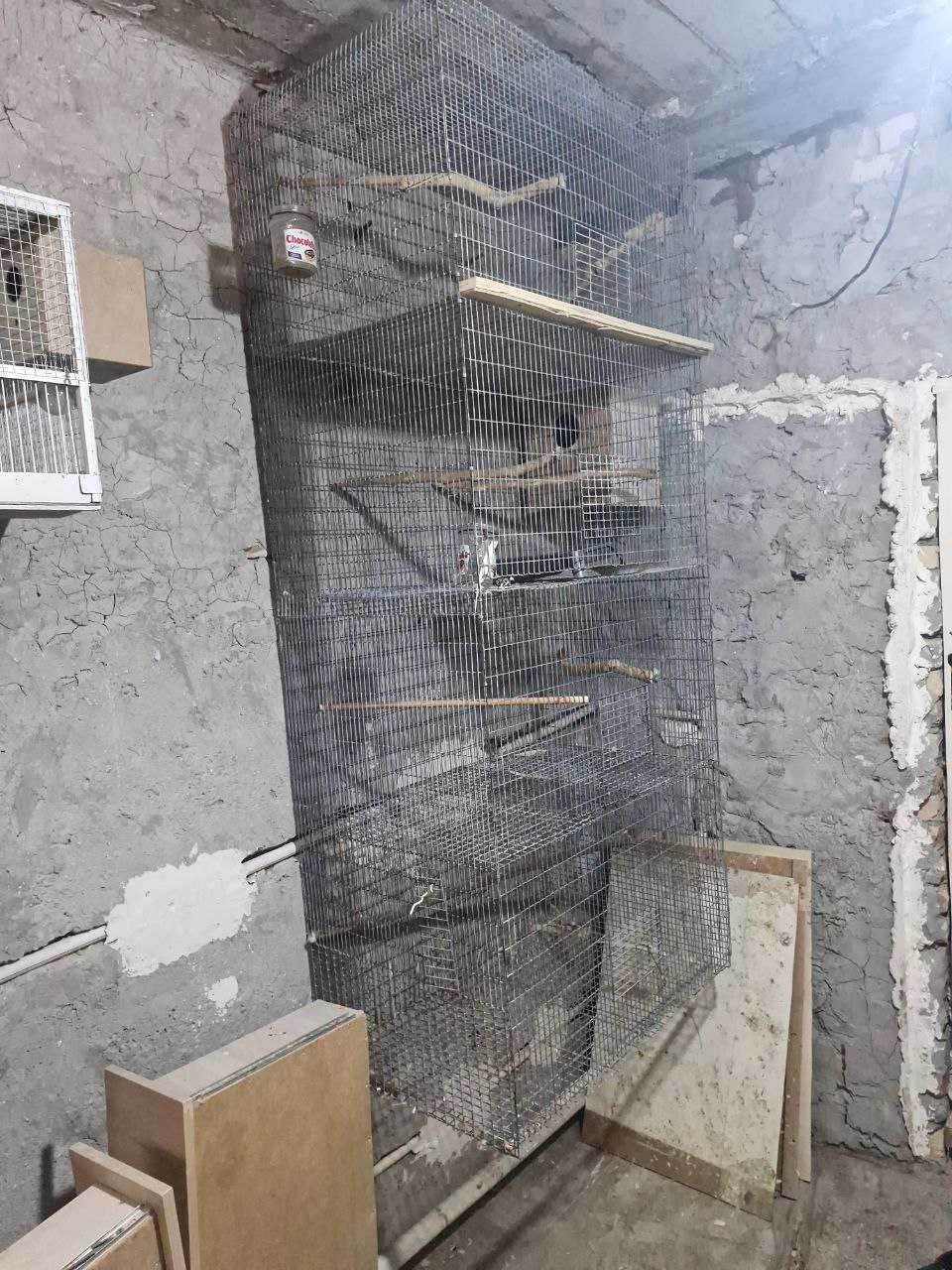 Kletkalar Sotilad
