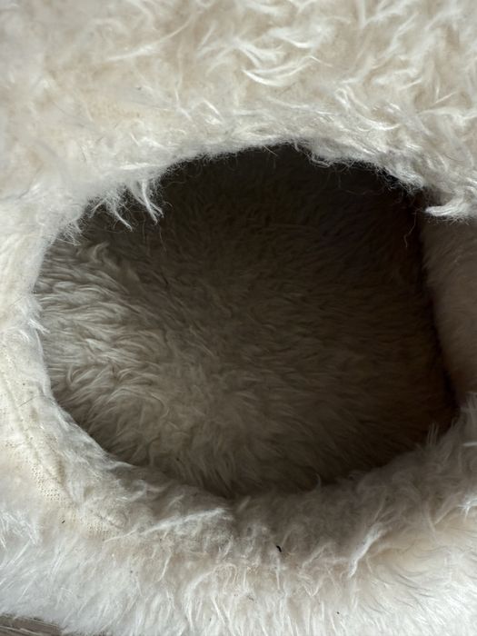 Patuti pentru pisica