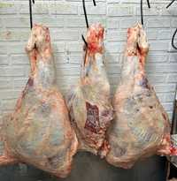 Реализуем мясо говядины конина баранина