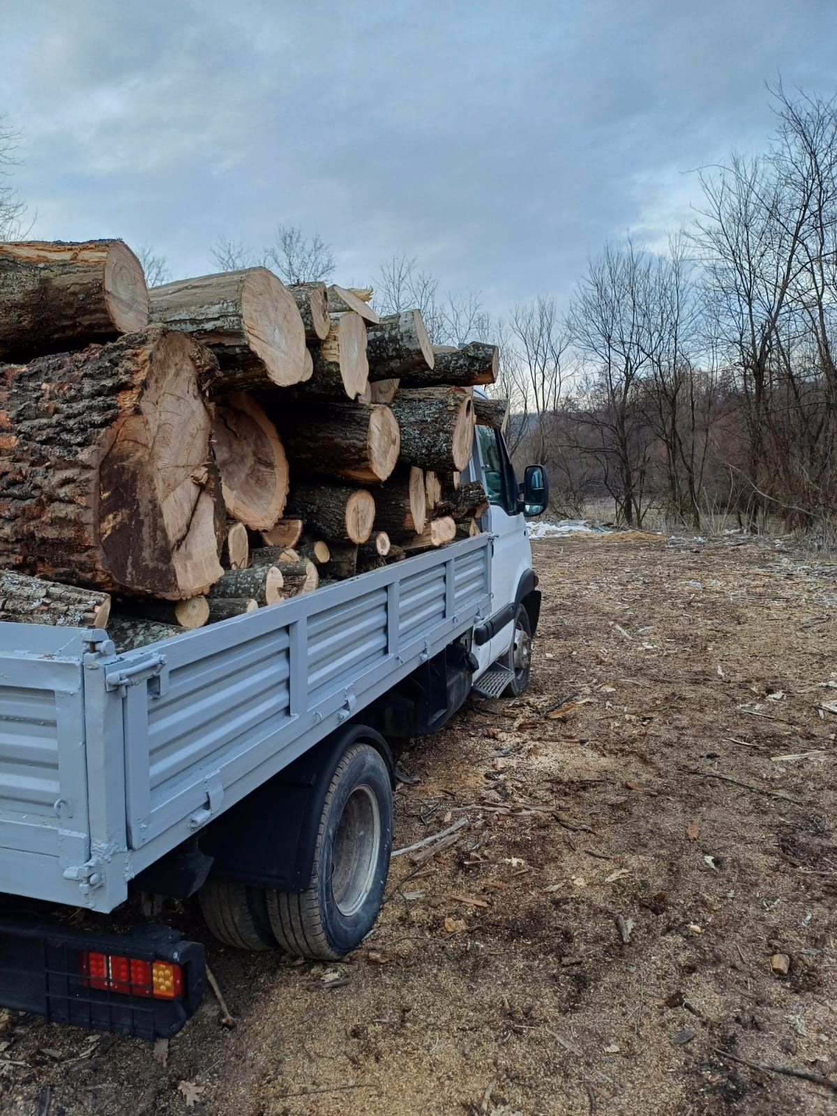 Transport lemne esență tare/moale