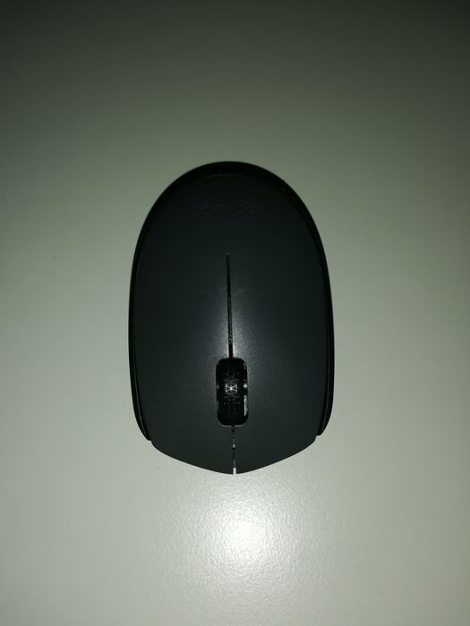 Mouse Logitech M170