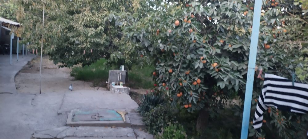 10 сотик Ҳовли сотилади