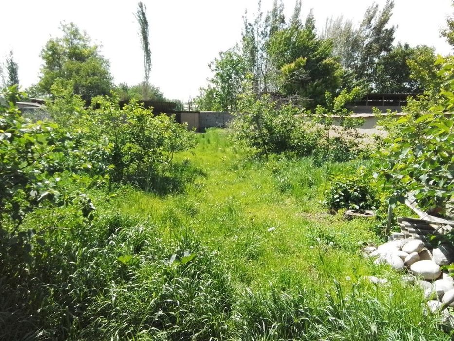 Ер 32соток сотилади Музрабод Сурхандарё