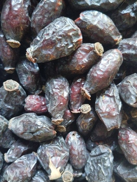 Продам шиповник Наматак сотилади