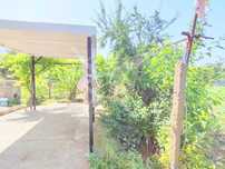 Къща в село Соколово 61134