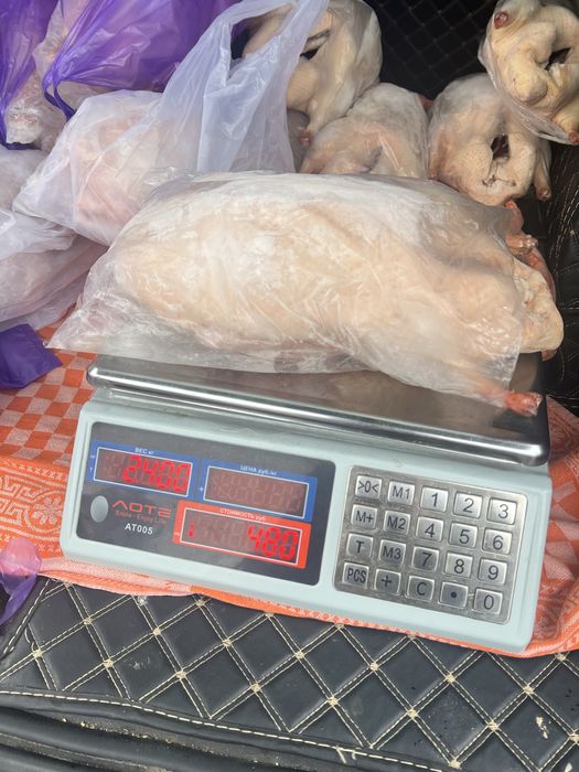 Астана. Пролам мясо гуся и утки